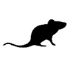 Rats and Mice Icon
