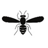 Stinging Insects and Pest Bugs Icon