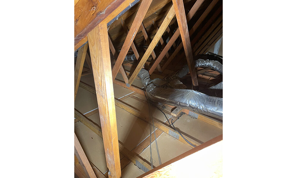 Swept out and sanitized attic