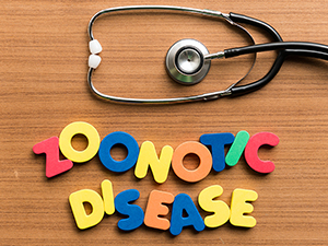 Letters spelling zoonotic disease