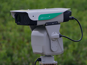 Laser bird deterrent